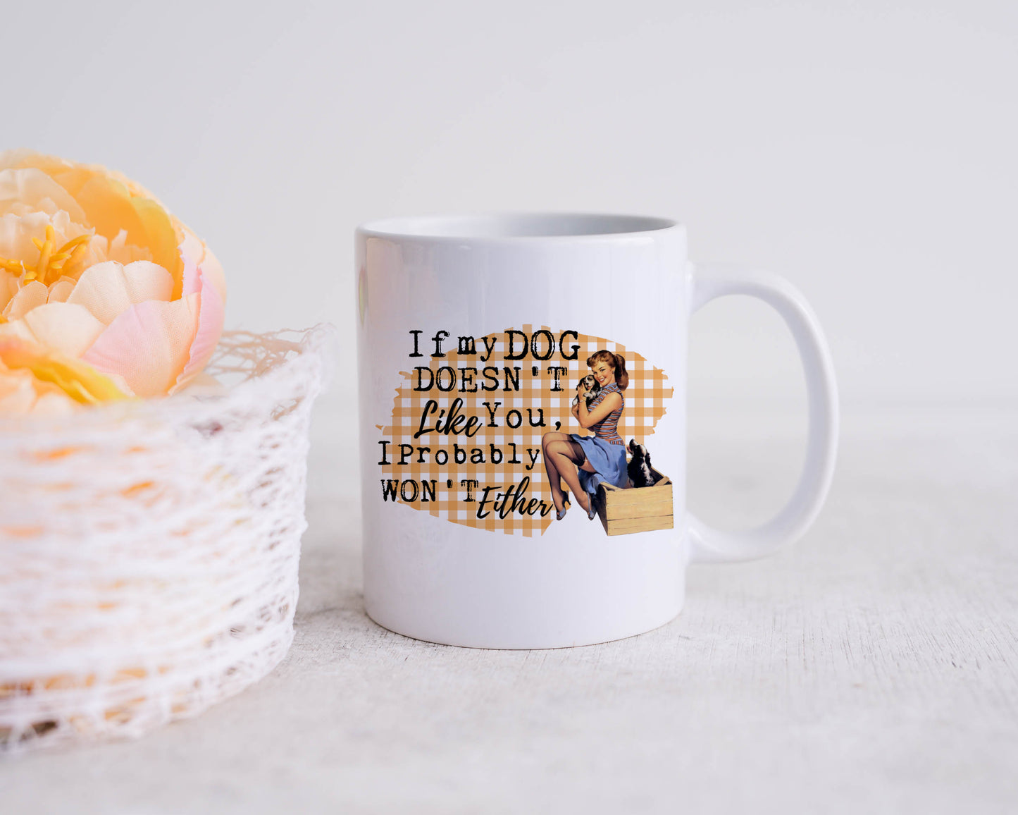 If my dog doesn’t like you